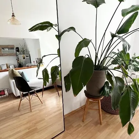 Apartment Vibey & Spacious Riverside With Fast Wifi